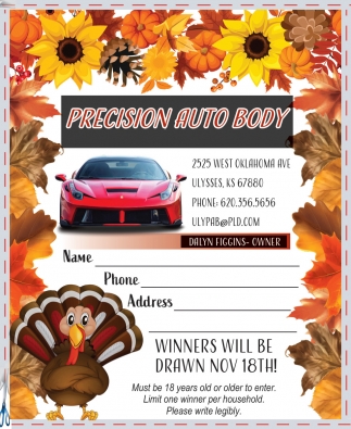 Precision Auto Body