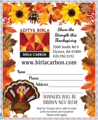 Aditya Birla USA, Inc.