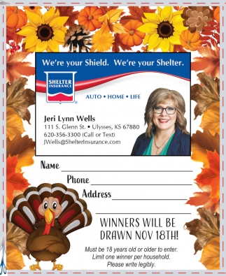 Shelter Insurance: Jeri Lynn Wells