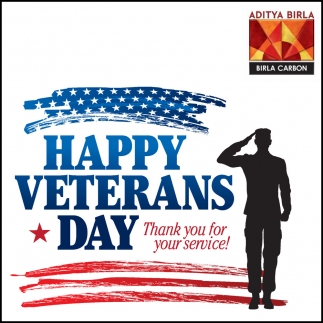 Aditya Birla USA, Inc.