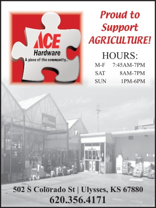 Ace Hardware Ulysses