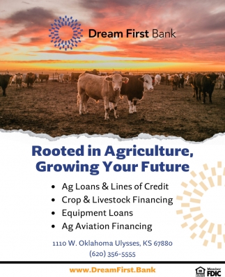 Dream First Bank