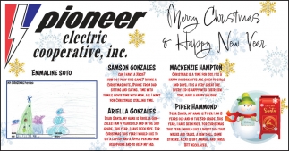 Pioneer Electric Cooperative, Inc.