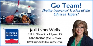 Shelter Insurance: Jeri Lynn Wells