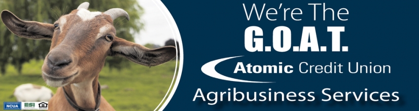 Agribusiness Services