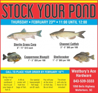 Stock Your Pond