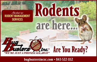 Rodents Are Here... Are You Ready?