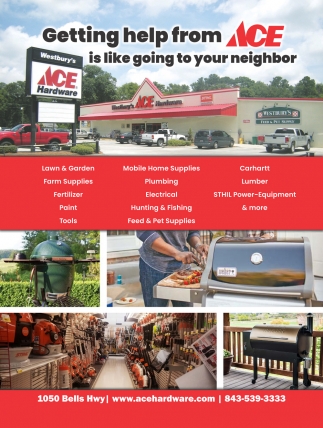 Getting Help From ACE Is Like Going To Your Neighbor