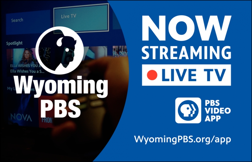 Now Streaming Live TV