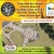 Come Meet the Compass of Honor Memorial Foundation Team and Learn About the Freedom Point Project at Lions Park