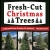 Fresh-Cut Christmas Tree
