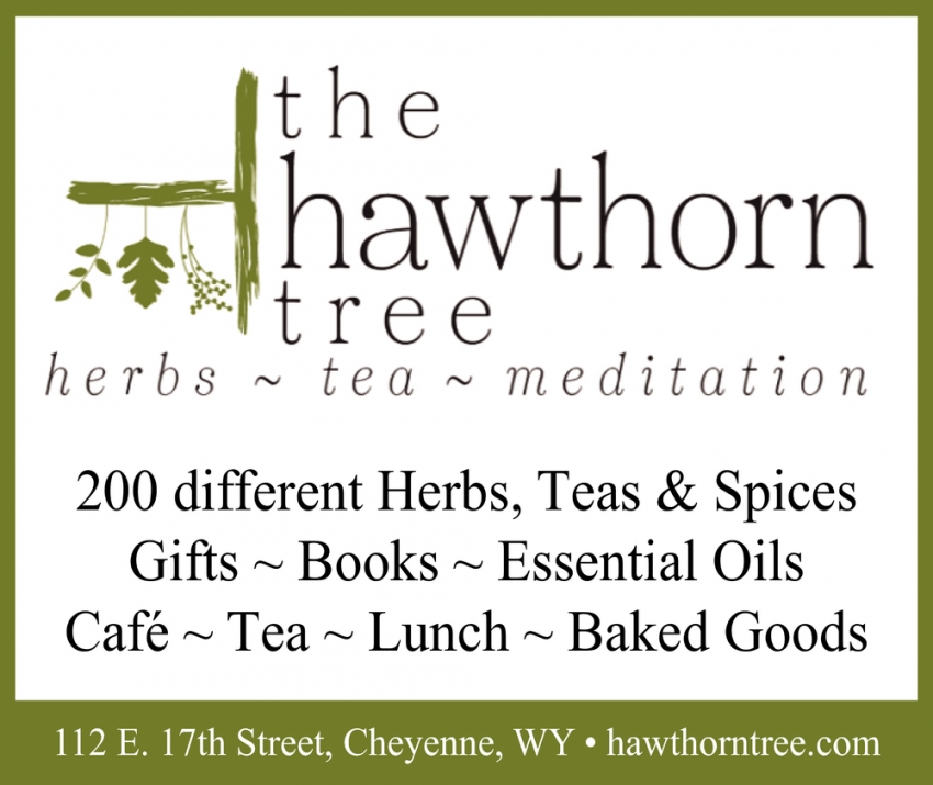 Herbs - Tea - Meditation