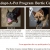 Adopt a Pet Program