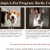 Find Your Forever Friend Today