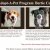 Find Your Forever Friend Today