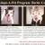 Meet Our Adoptable Dogs