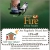 Bird Feeders & Garden Decor