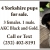 4 Yorkshire Pups For Sale