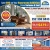 Unlock Huge Savings Today
