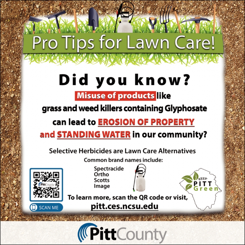 Pro Tips for Lawn Care!