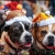Home for the Howlidays