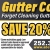 Forget Cleaning Gutters Forever!