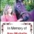 In Memory of Amy Michelle Fisher Woodard