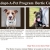 Adopt-A-Pet Program