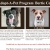 Adopt-a-Pet