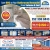 Save Big on your Bathroom Remodel