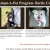 Adopt-a-Pet