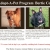 Adopt a Pet Program