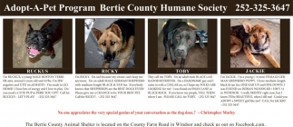 Bertie County Humane Society