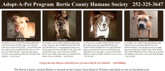 Bertie County Animal Shelter