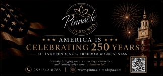 Pinnacle Med Spa