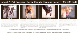 Bertie County Humane Society
