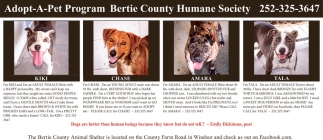 Bertie County Humane Society