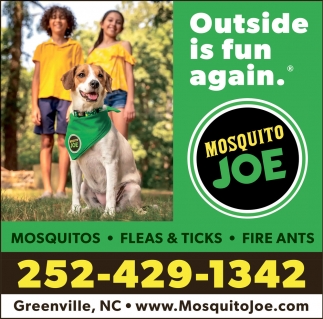 Mosquito Joe