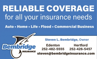 Bembridge Insurance