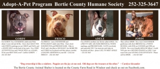 Adopt-A-Pet Program Bertie County Humane Society