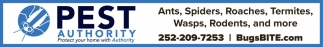 Pest Authority