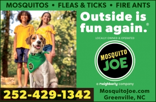 Mosquito Joe