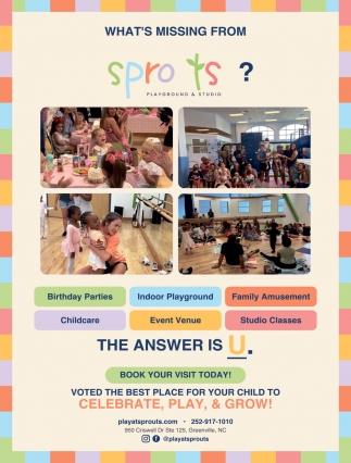 Sprouts Playground & Studio