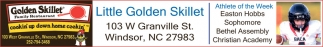 Golden Skillet