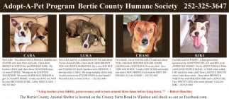 Bertie County Humane Society