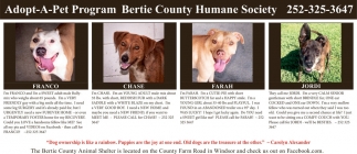 Bertie County Humane Society