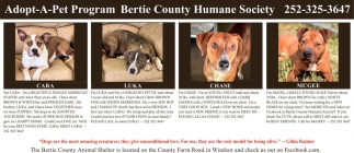 Bertie County Humane Society