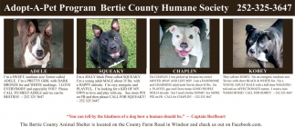 Bertie County Humane Society