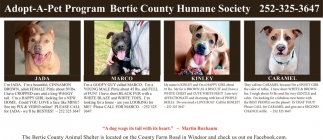Bertie County Humane Society