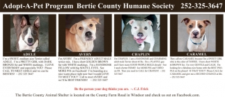 Bertie County Humane Society